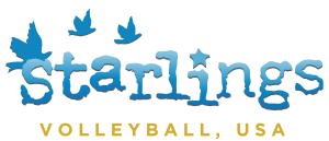 Starlings Volleyball, USA